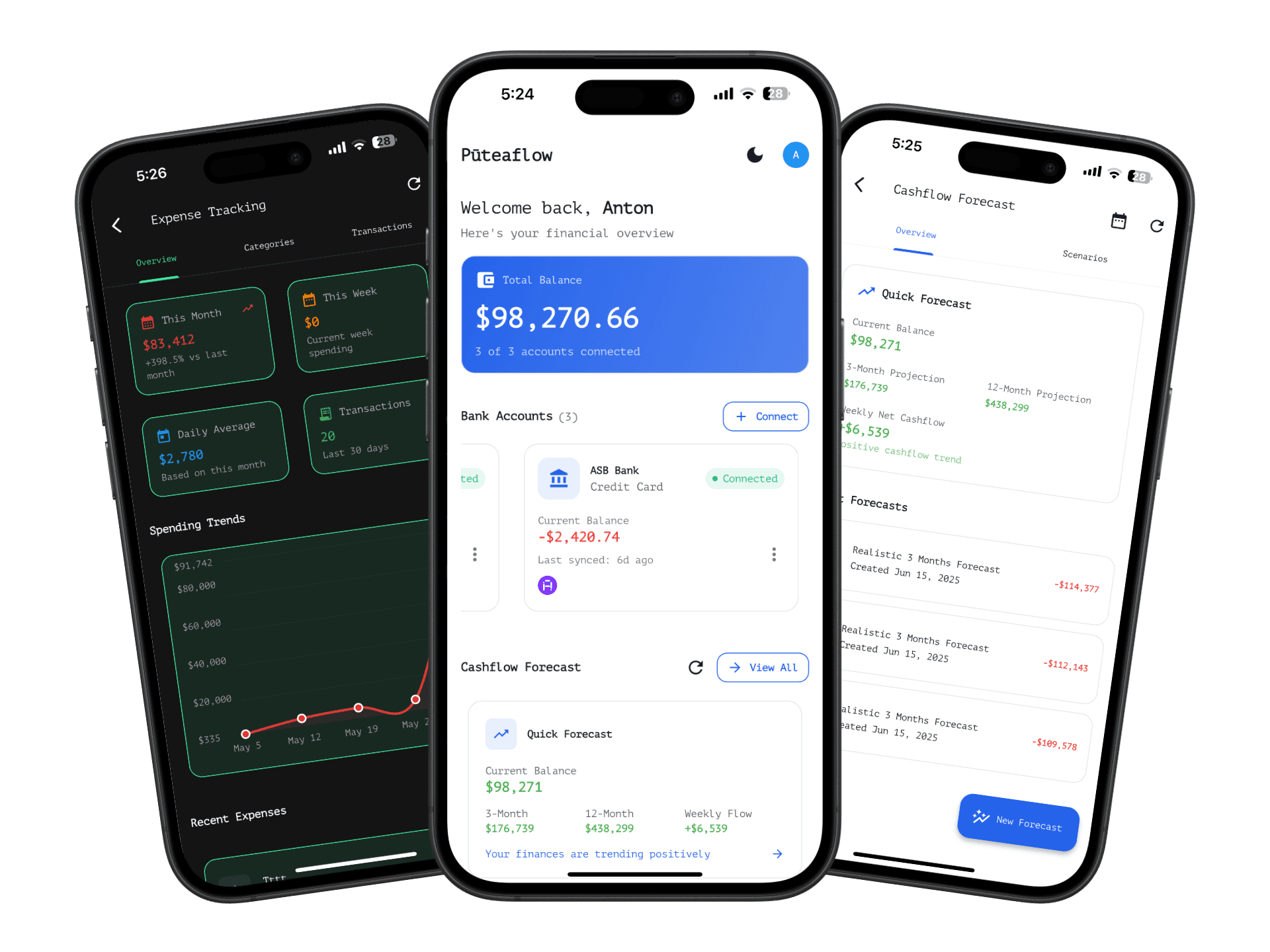 Pūteaflow App Screenshot